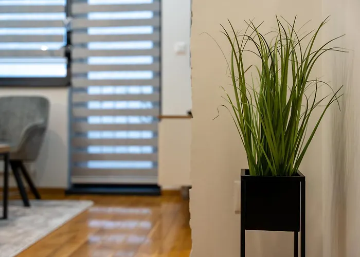 Durmitor 64 - Titova Apartment Zlatibor